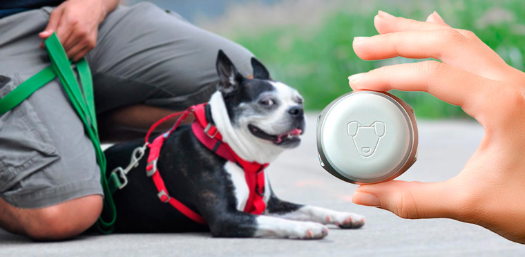 Лучшие GPS-ошейники для собак