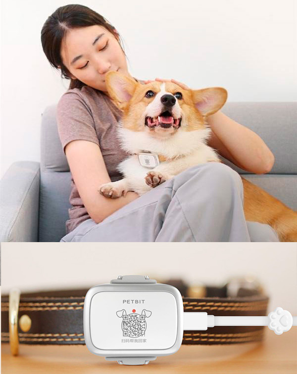 Smart pet. Xiaomi petвit Smart Pet Tracker. Умный ошейник для собак Xiaomi. Умный ошейник для кошек Xiaomi. Xiaomi PETBIT В России