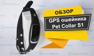 Обзор GPS ошейника для собаки S1