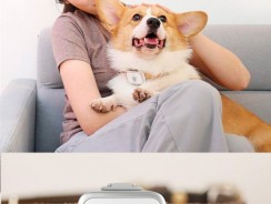 Xiaomi выпускает умный ошейник Petbit
